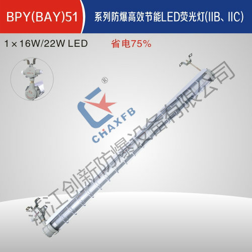 BPY(BAY)51隔爆*节能LED荧光灯(IIB、IIC)